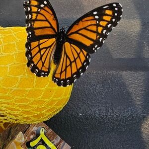 Meet your Posher, Kaht